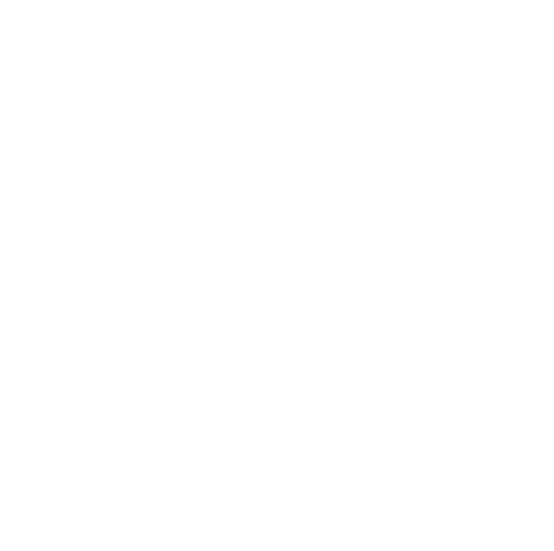 Visa Service